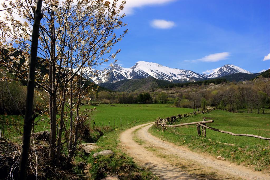 Apartaments El Ribal Valencia D'Aneu 外观 照片