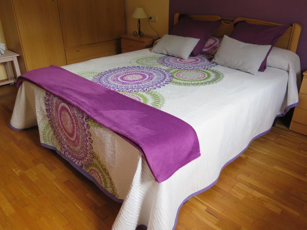 Apartaments El Ribal Valencia D'Aneu 外观 照片
